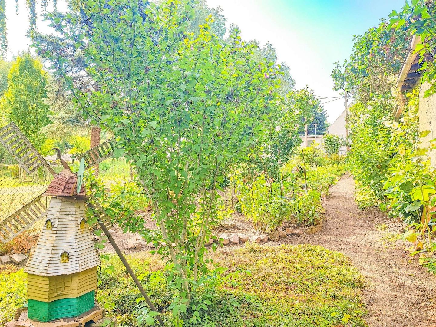 Garten