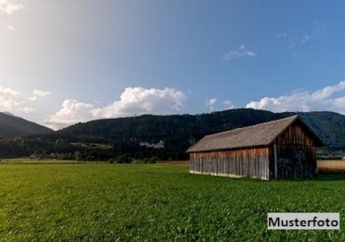 Keine Originalbilder