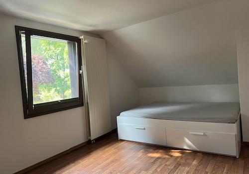 das Zimmer zu vermieten3