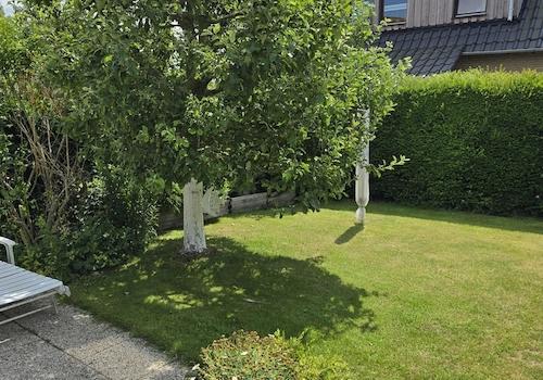 Südlage mit Apfelbaum
