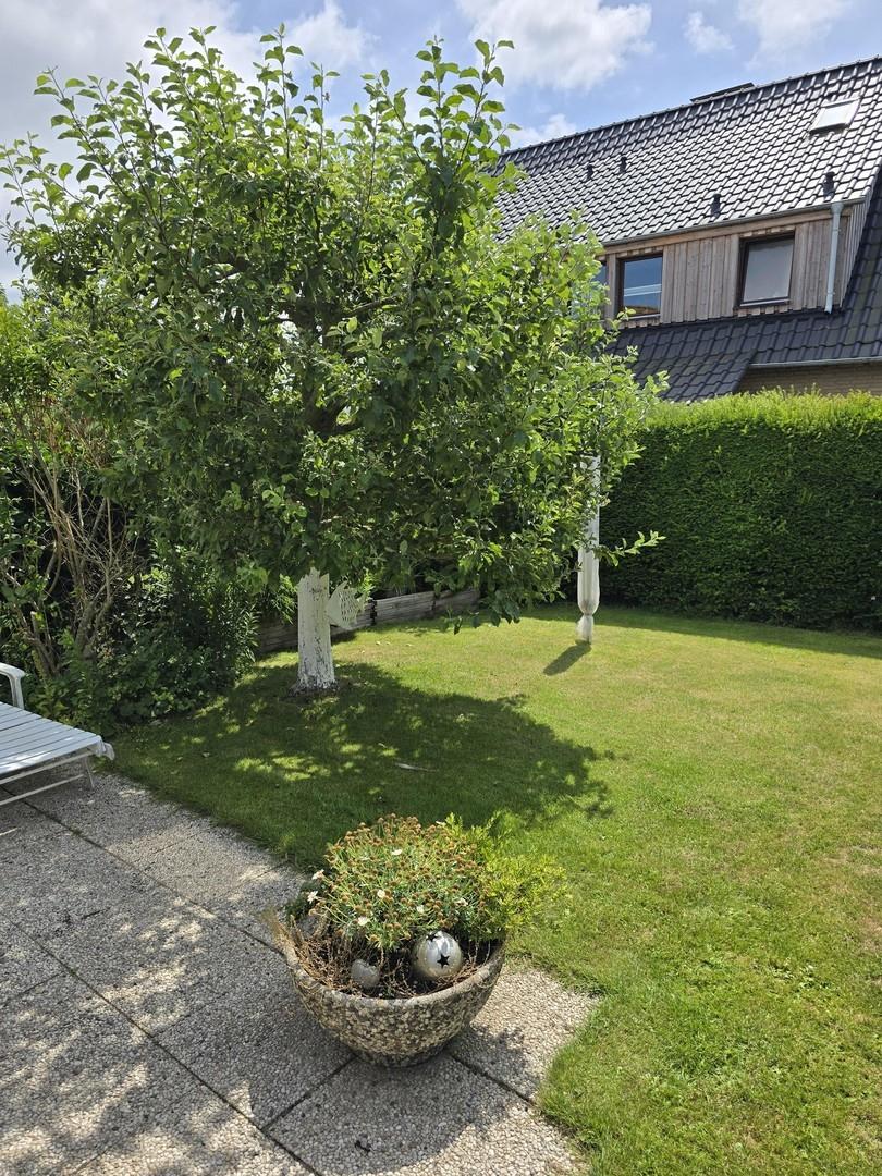 Südlage mit Apfelbaum
