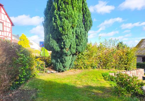 Garten vor dem Haus