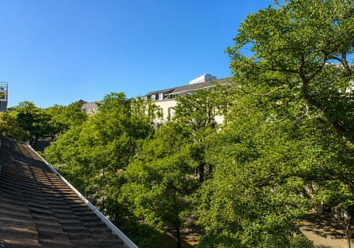 Blick ins Grüne zur Wörthstr.