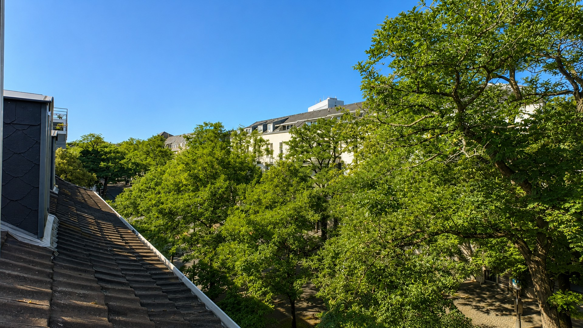 Blick ins Grüne zur Wörthstr.