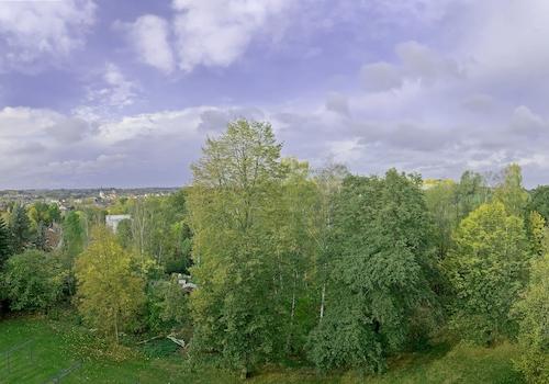 Ausblick