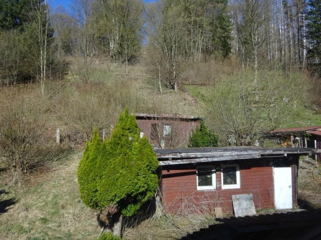 Bild (3)