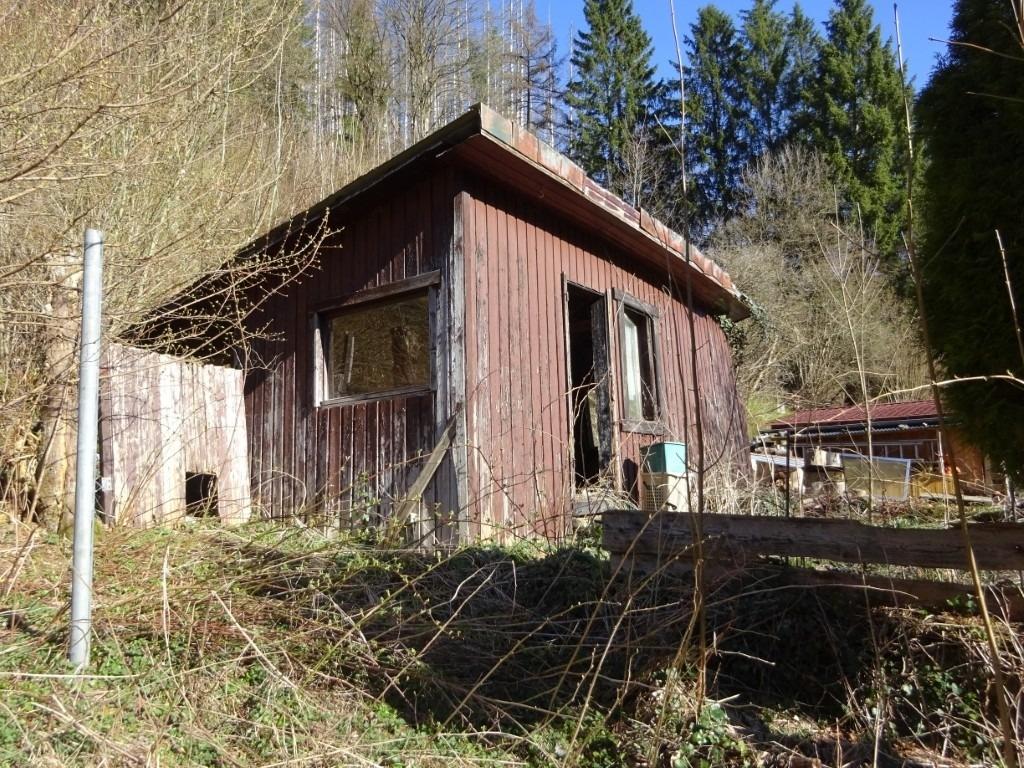 Bild (7)