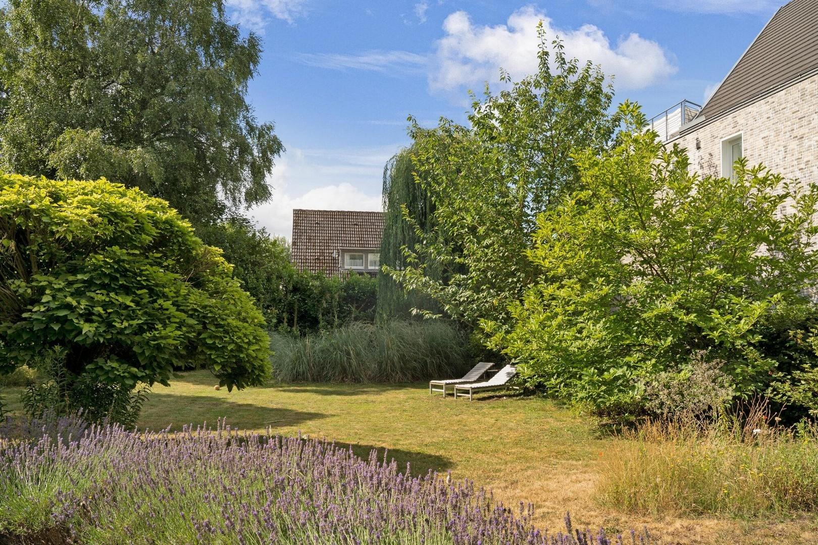 Aussen Ansicht Garten