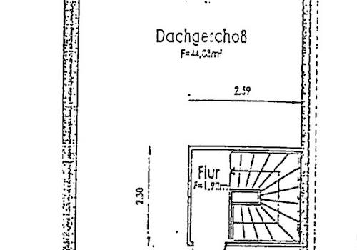 DG