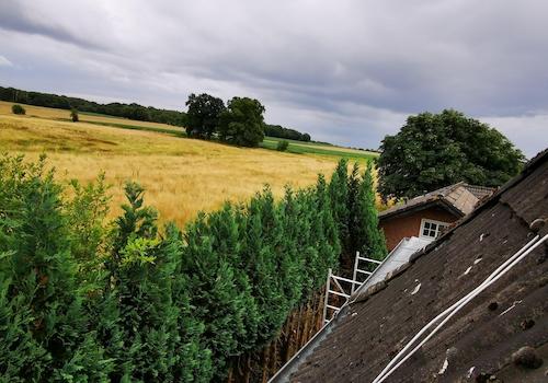 Blick ins freie Land