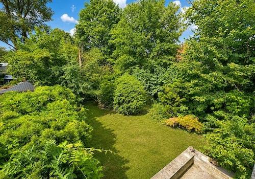 Blick in den Garten