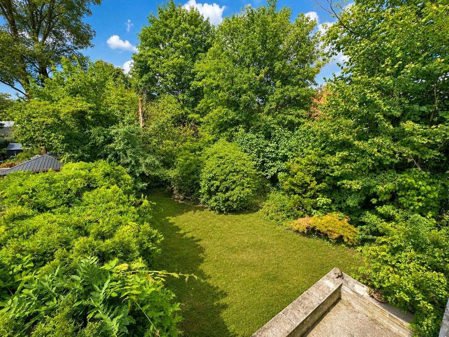 Blick in den Garten