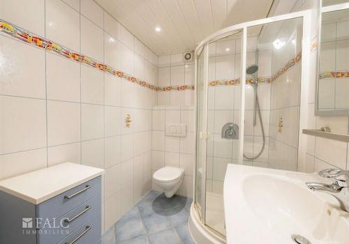 Haupthaus-Keller-Bad + Dusche