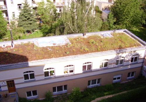 Hinterhaus 1