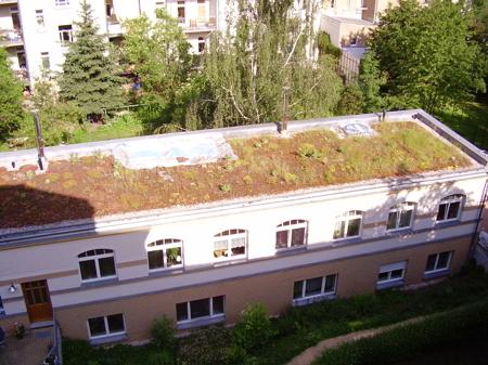 Hinterhaus 1