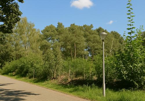 Straßenansicht