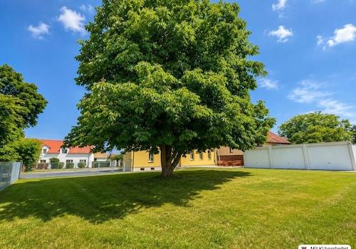 Herrlicher Garten