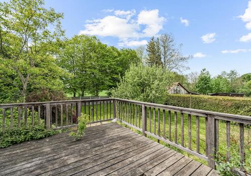 Blick in den Garten