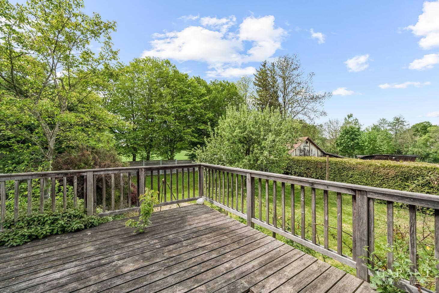Blick in den Garten