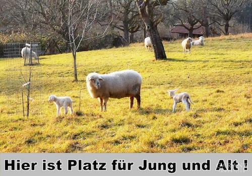 ...viel Platz für alle