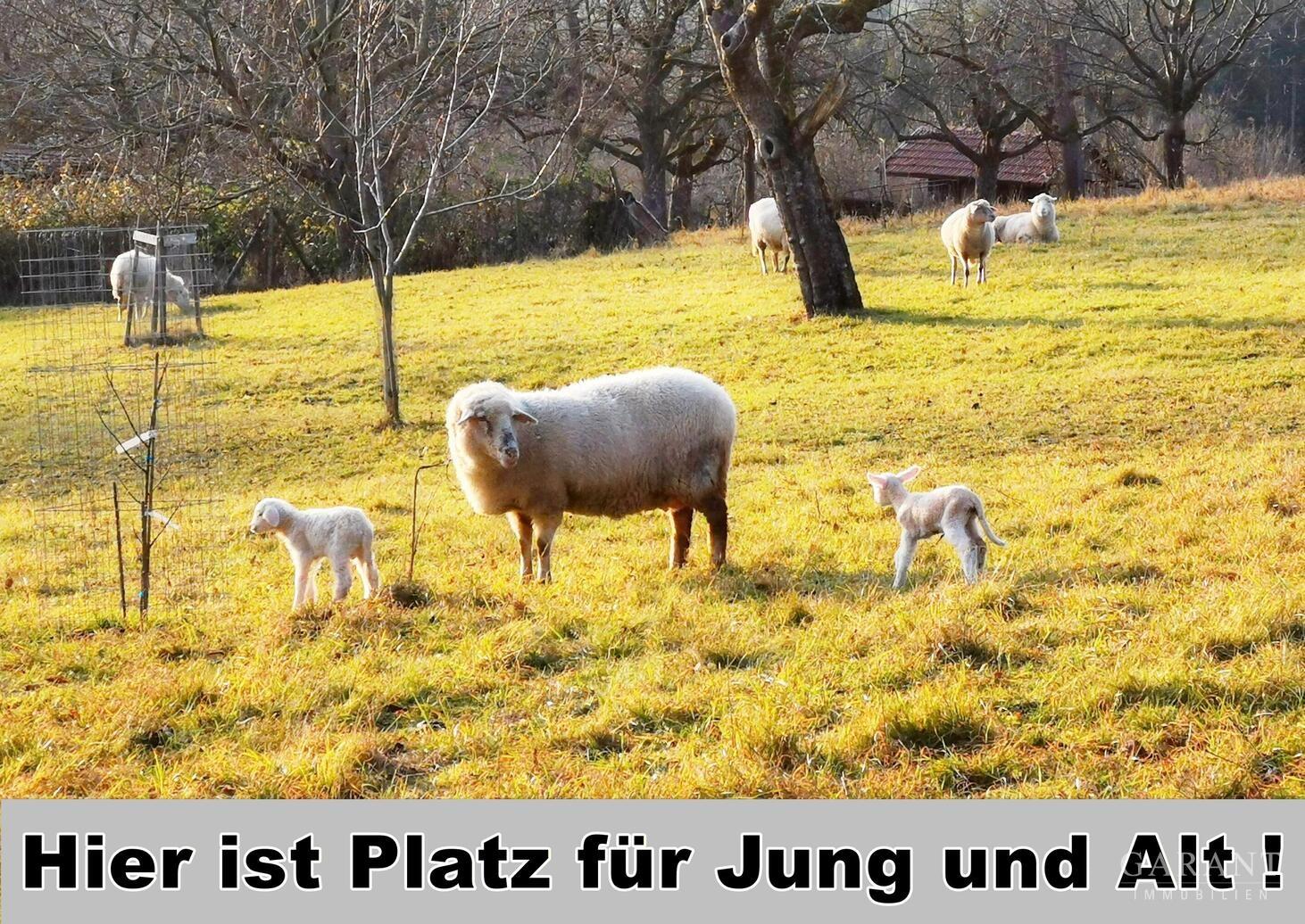 ...viel Platz für alle