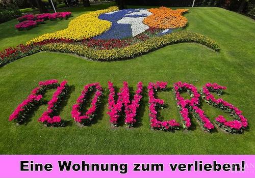 Eine Wohnung zum verlieben!