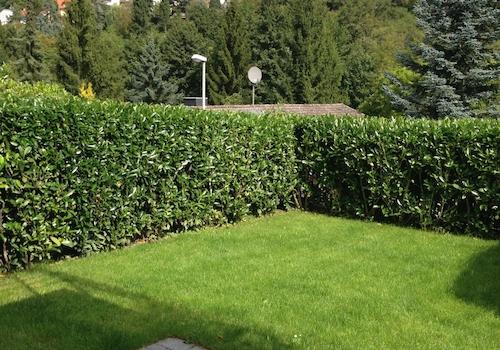 Garten vor Kinderzimmer