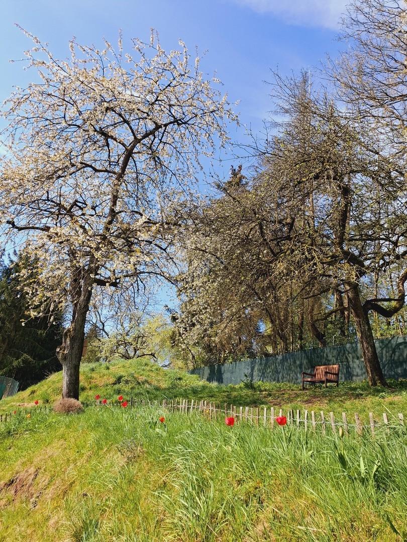 Gartenansicht