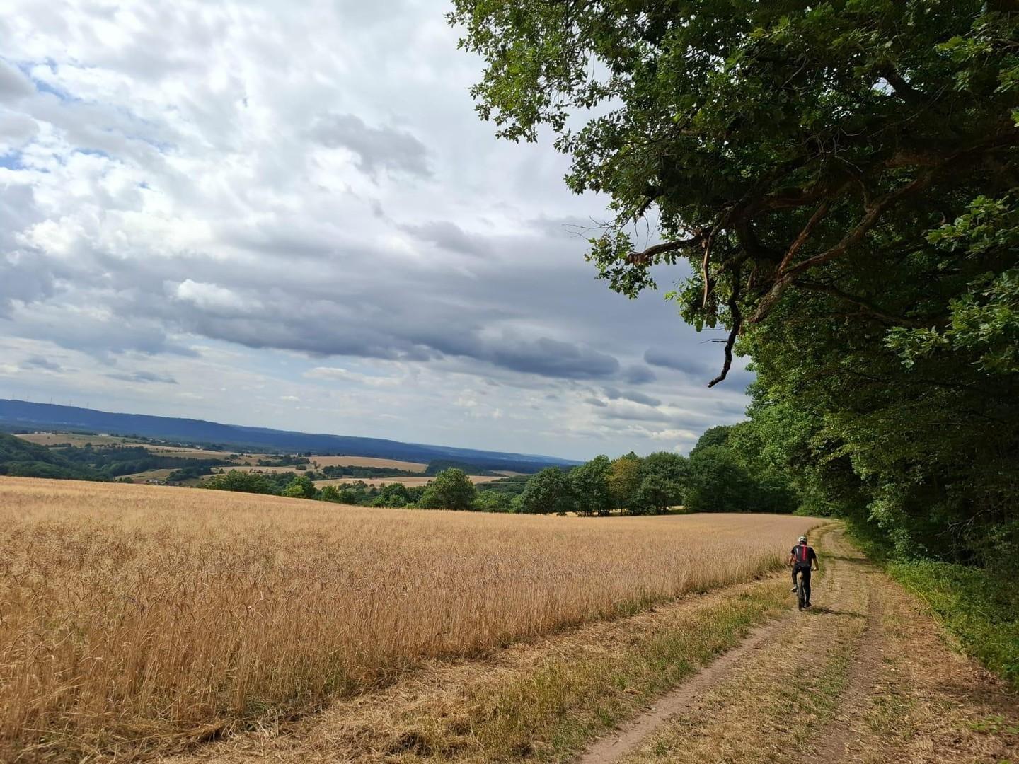 Umgebung / Freizeit