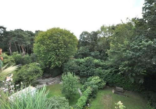 Blick in den Südpark