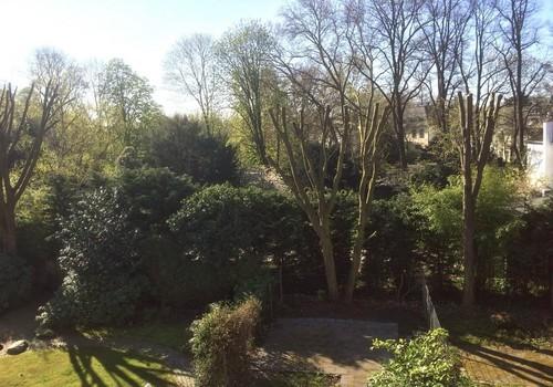 Blick in den Südpark