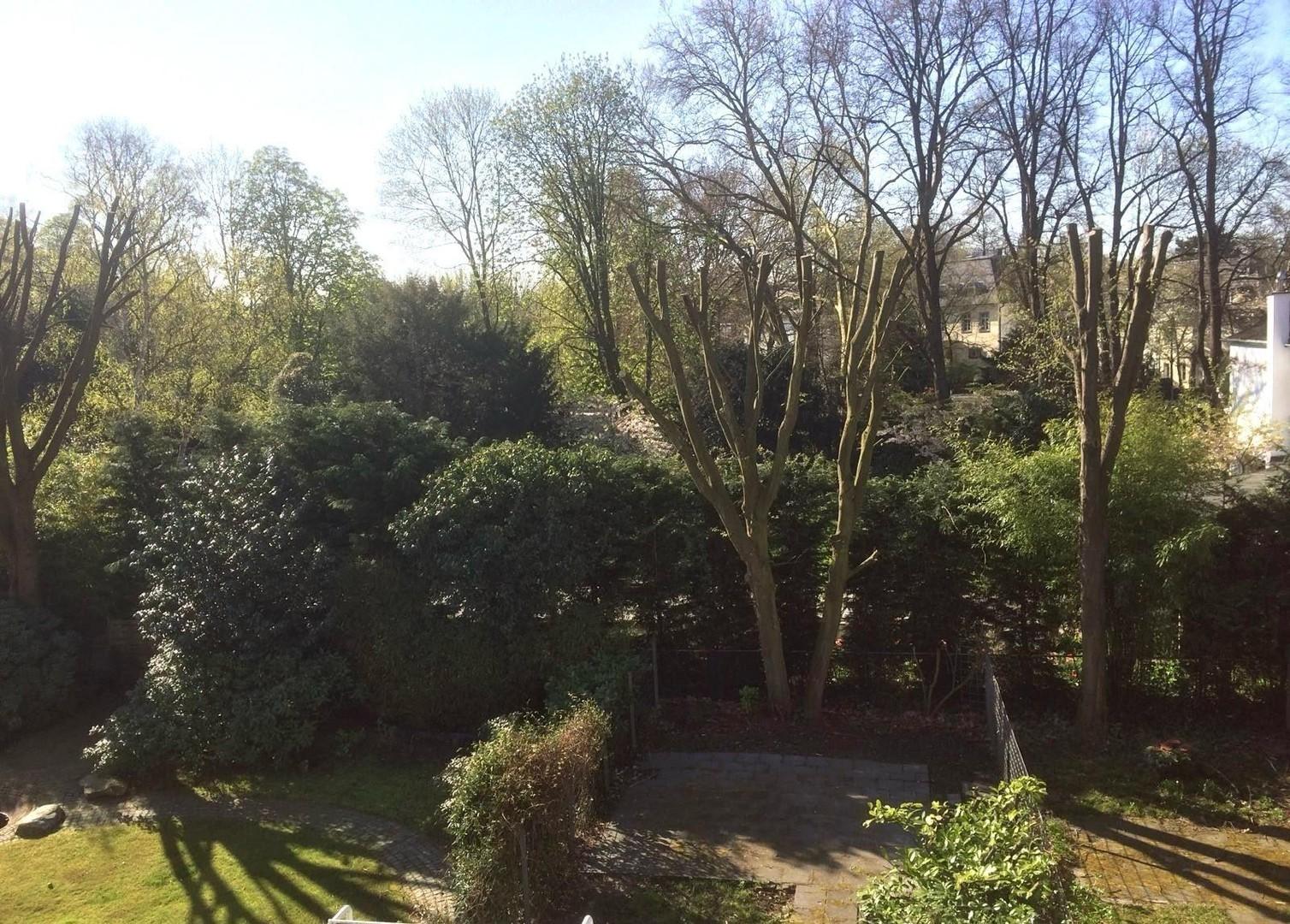 Blick in den Südpark