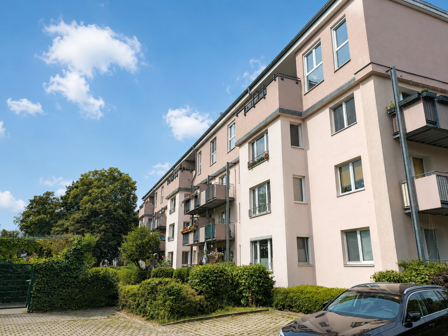 Hinten_1