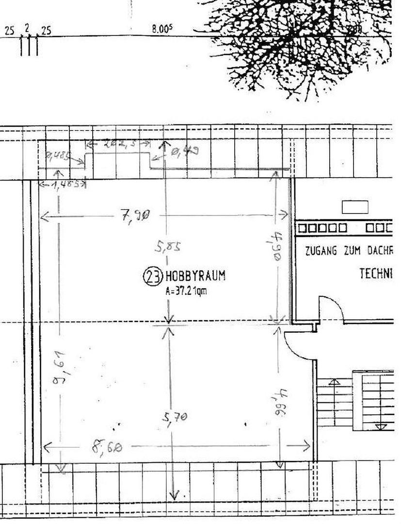 Grundriss DG