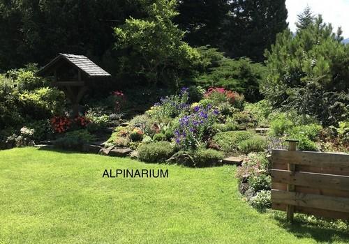 Garten / Alpinarium