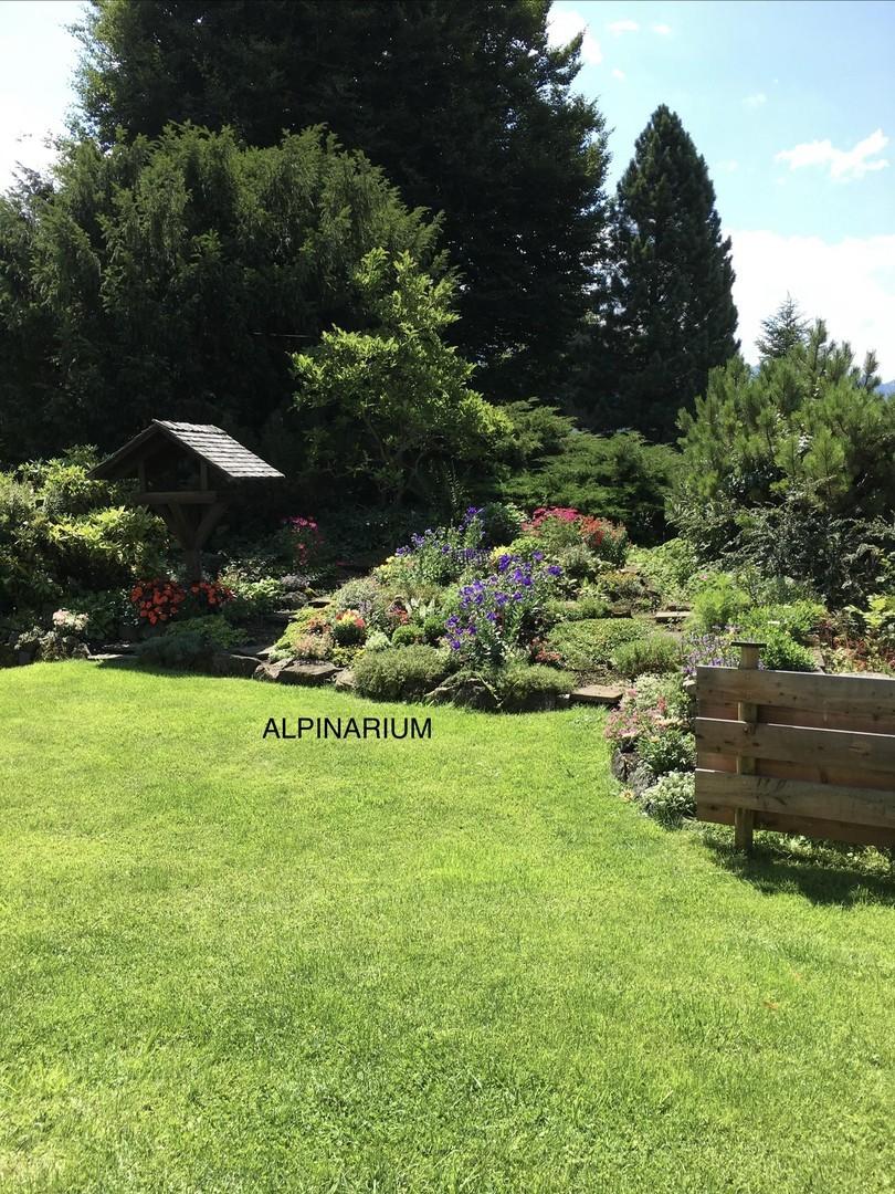 Garten / Alpinarium