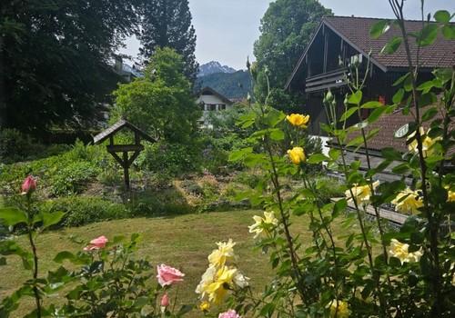 Blick aus Wohnzimmer Süden