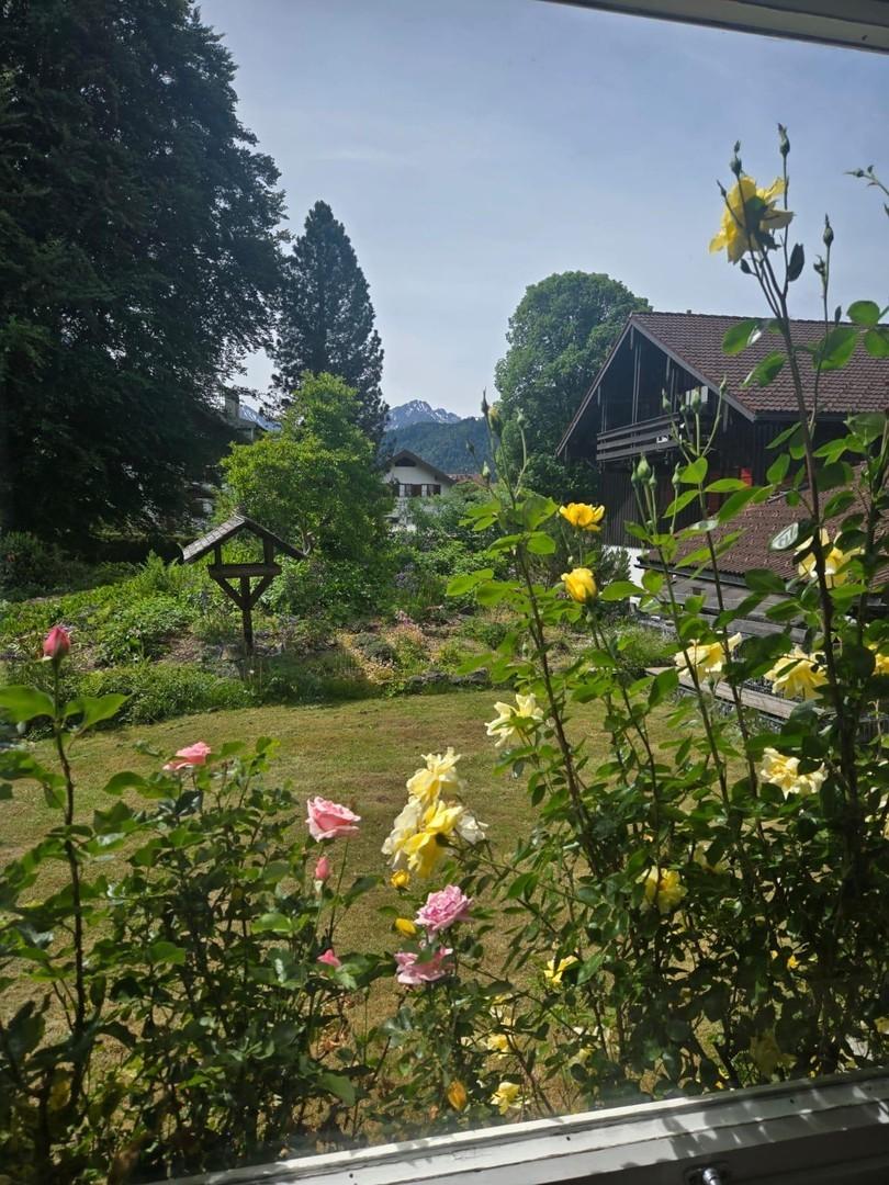Blick aus Wohnzimmer Süden