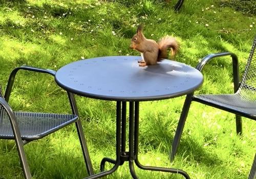 Im Garten