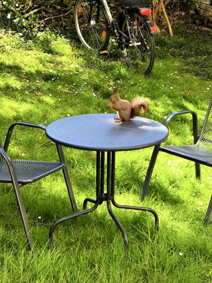 Im Garten