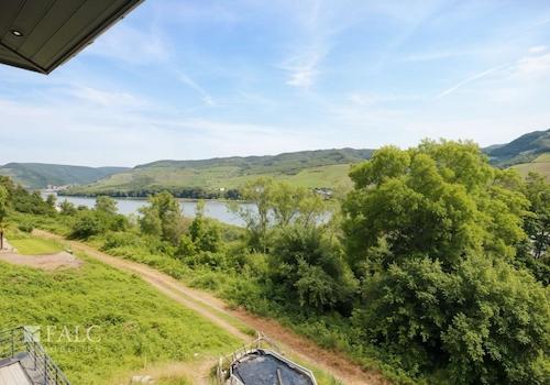 Rheinblick
