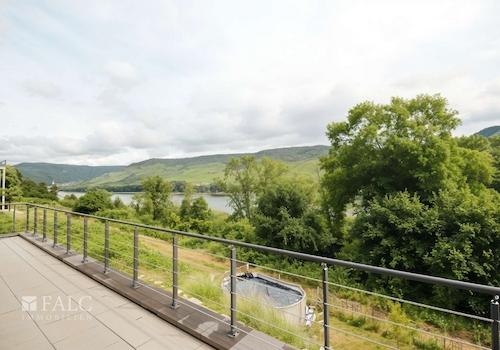 Rheinblick