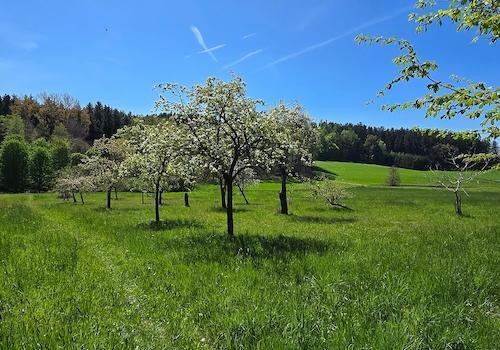 Sanierter Vierseithof in Niederbayern - ICC Immobilien Competence Center