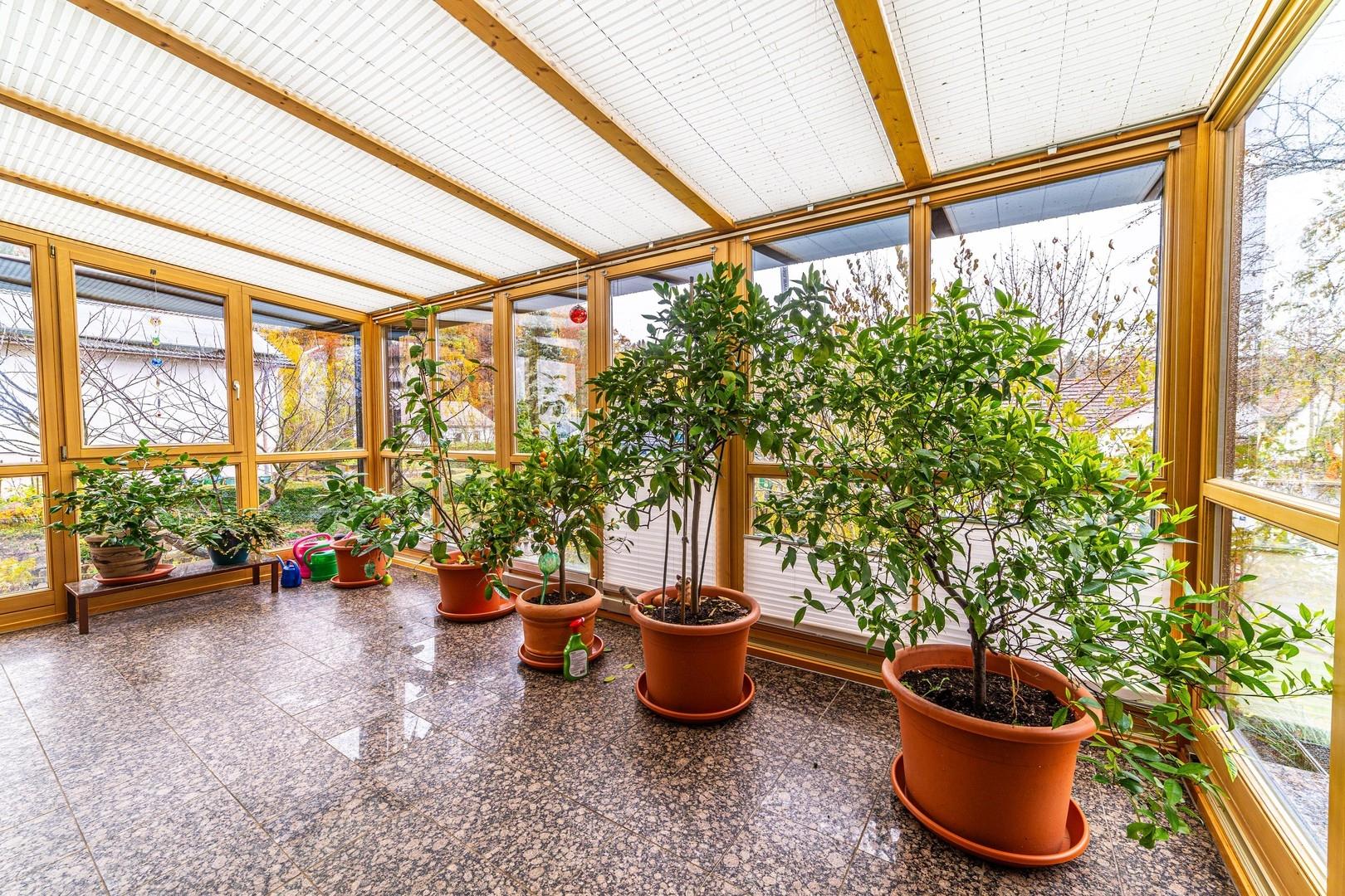 EG Wintergarten