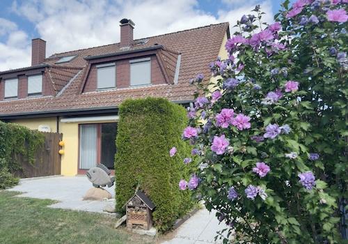 Blick zur Terrasse