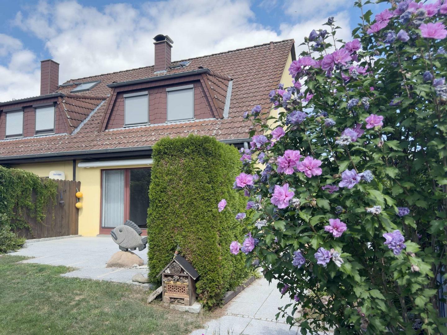 Blick zur Terrasse