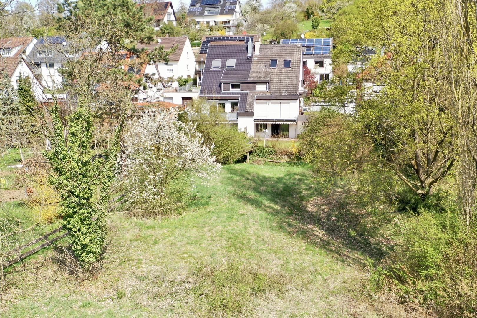 Blick von Wiese auf Haus