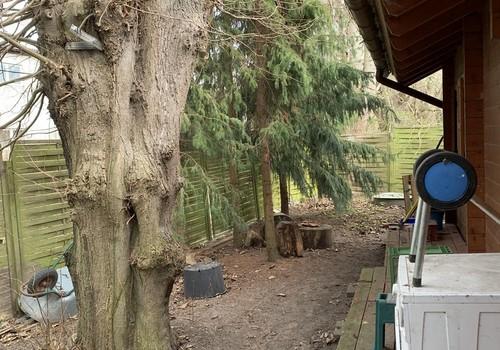 Gartenbereich