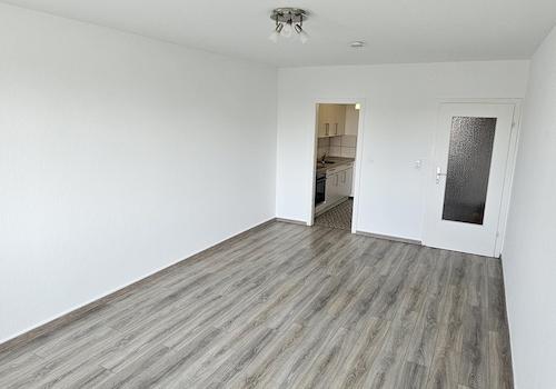 Wohnzimmer/Schlafzimmer 