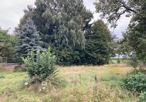 Gartengrundstück